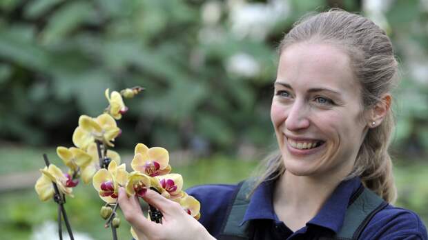 От тилландсии до литопсов: какие необычные растения сейчас в моде