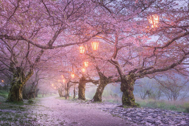 15 прекрасных причин отправиться в Японию