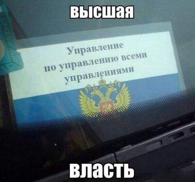 картинки