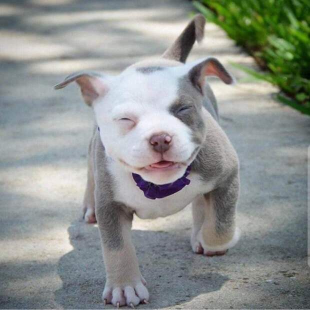 Прикольные фотографии, которые приподнимут настроение!