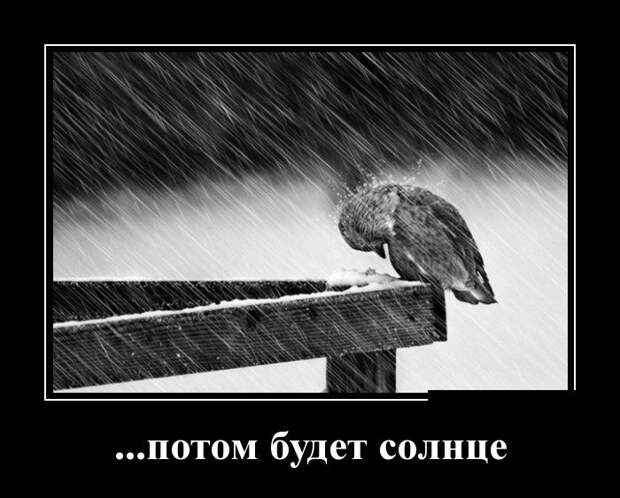 Демотиваторы (30 фото)