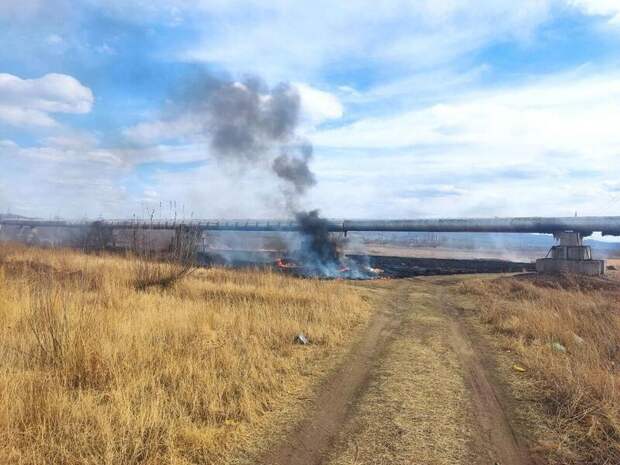 В СНТ «Багульник-2» горела сухая трава