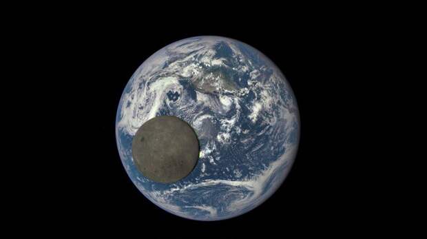 Это не камешек на фотографии. Обратная сторона Луны, редчайший снимок NASA. животные, интересное, удивительное, факты