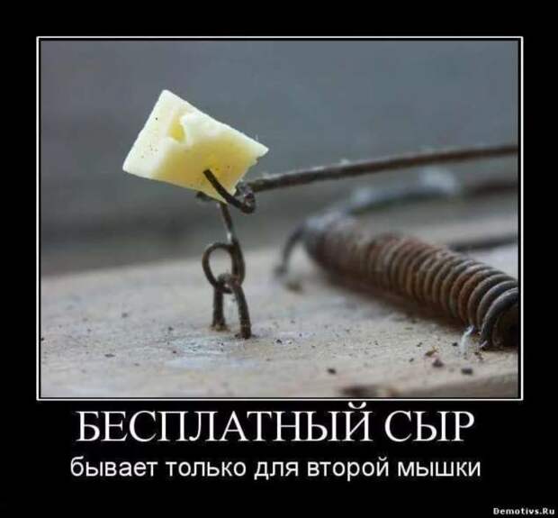 Прикольные демотиваторы с надписями. Подборка chert-poberi-dem-chert-poberi-dem-33130625062020-6 картинка chert-poberi-dem-33130625062020-6