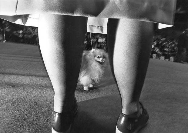Susan Oken, UNITED STATES