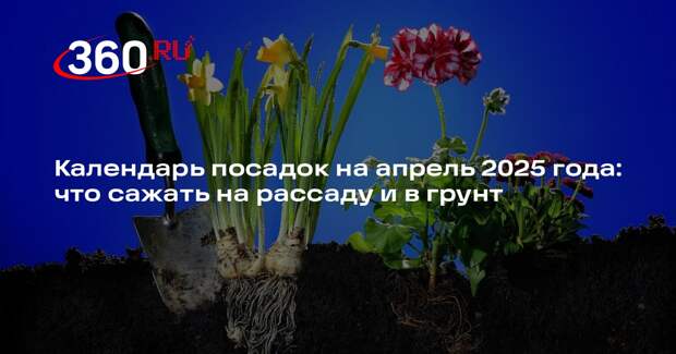 Садовод Ганичкина рассказала, что лучше всего делать огороднику в апреле