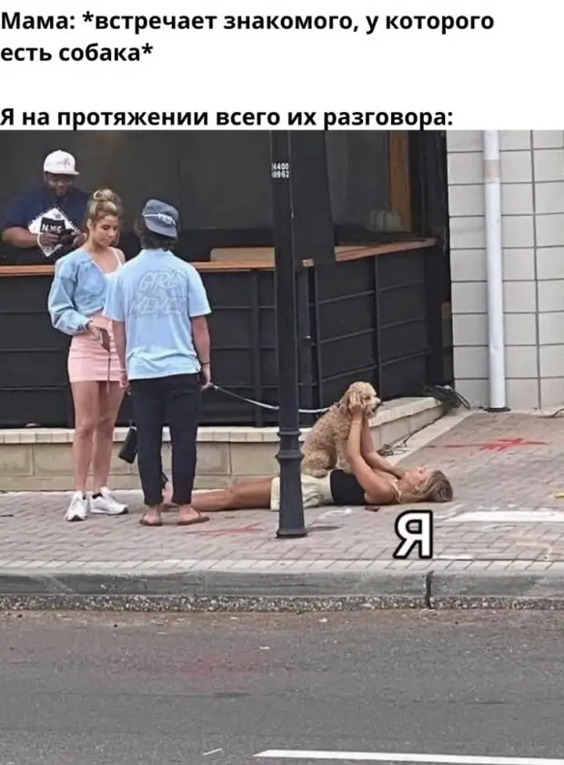 Золотая подборка юмора для Вас