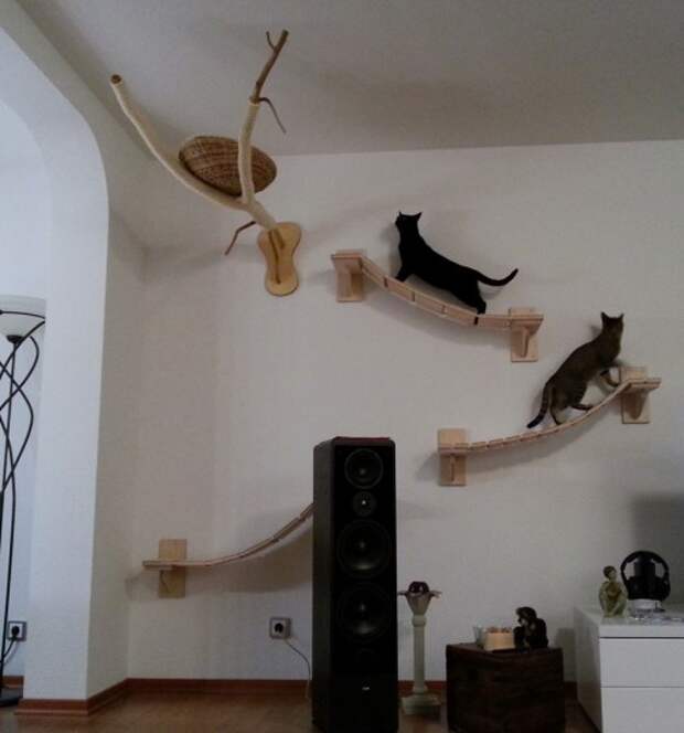 Как создать игровую площадку для кота в квартире