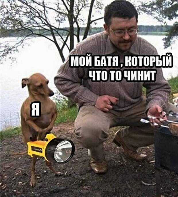 Картинки с надписями, истории и анекдоты