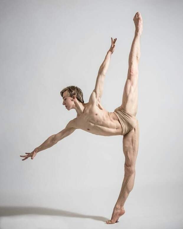 Балетная анатомия - танец на пределе человеческих возможностей анатомия, балет, искусство, красота, мускулы, невероятное, пластика, фотографии