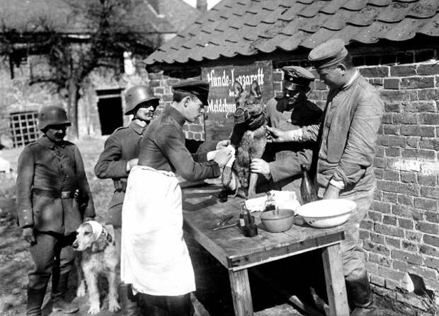 Интересные архивные кадры из прошлого