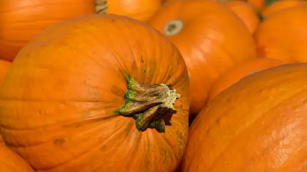 Специалисты напомнили правила выбора тыквы