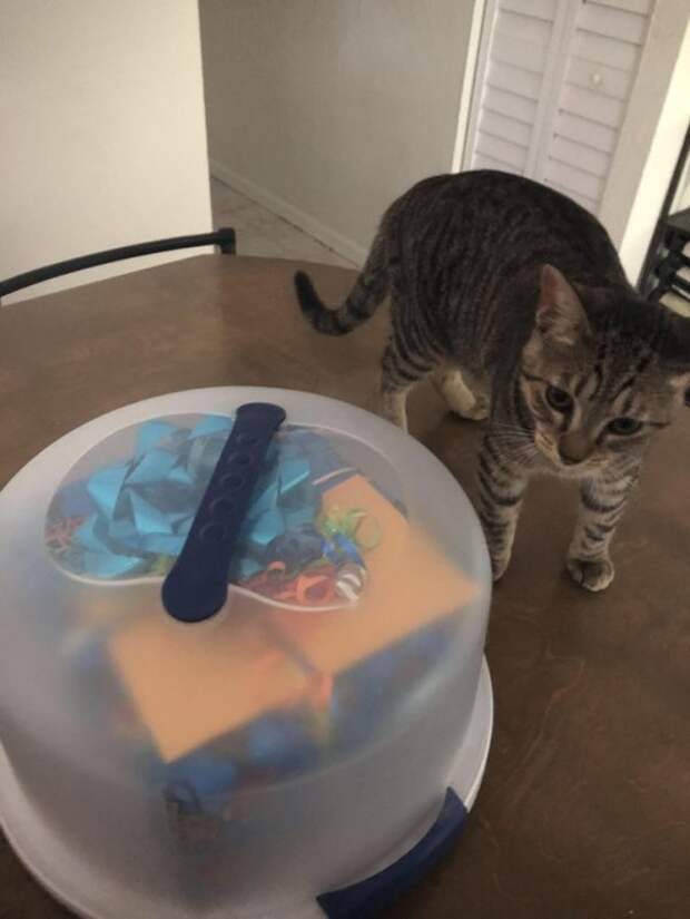 20 человек, которые прибыли к нам прямиком из будущего 20 человек, которые прибыли к нам прямиком из будущего