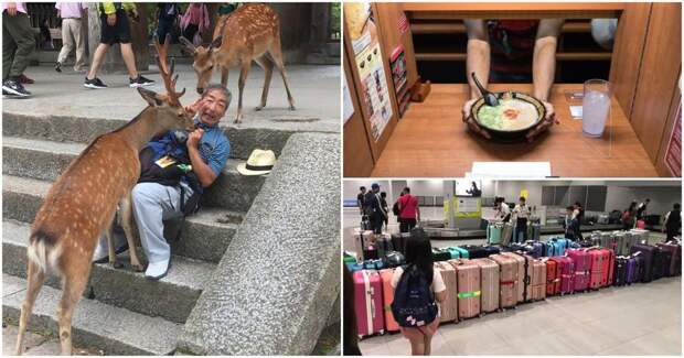 18 фото из повседневной жизни в Японии. Некоторые вещи действительно сложно понять