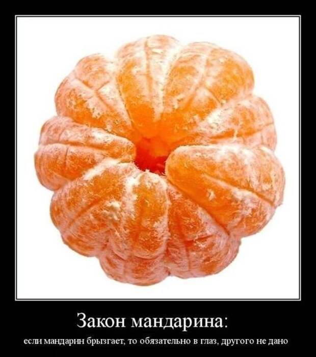 Демотиваторы для всех №4