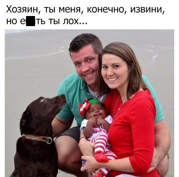 Ржака каждый день!
