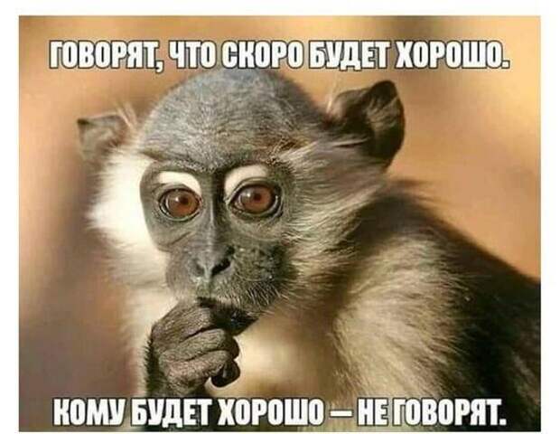 Классные смешные картинки