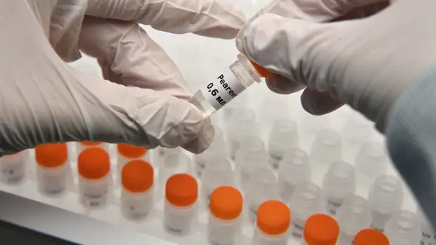 В Пермском крае рассказали о работе по борьбе с COVID-19