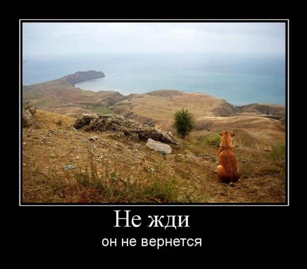 Демотиваторы Демотиваторы