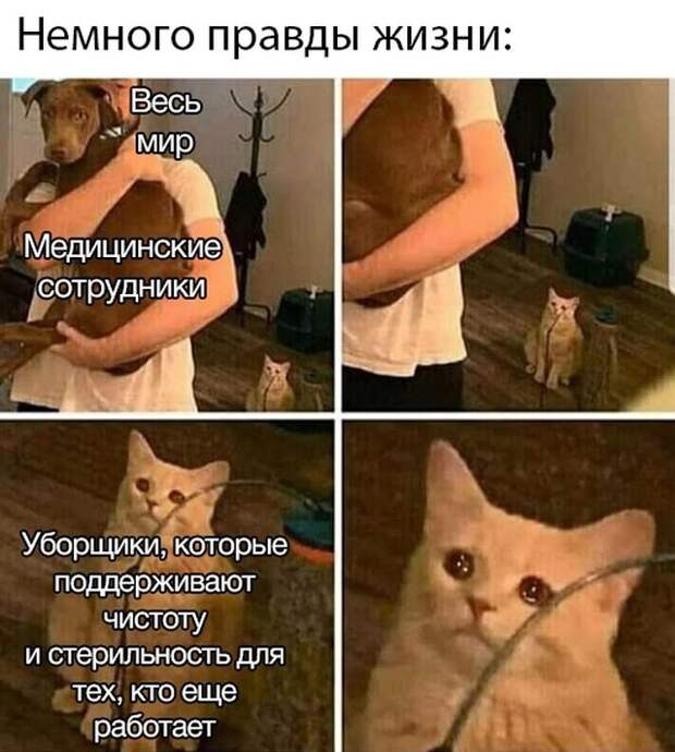 Смешные фото вечер 25 марта 2020