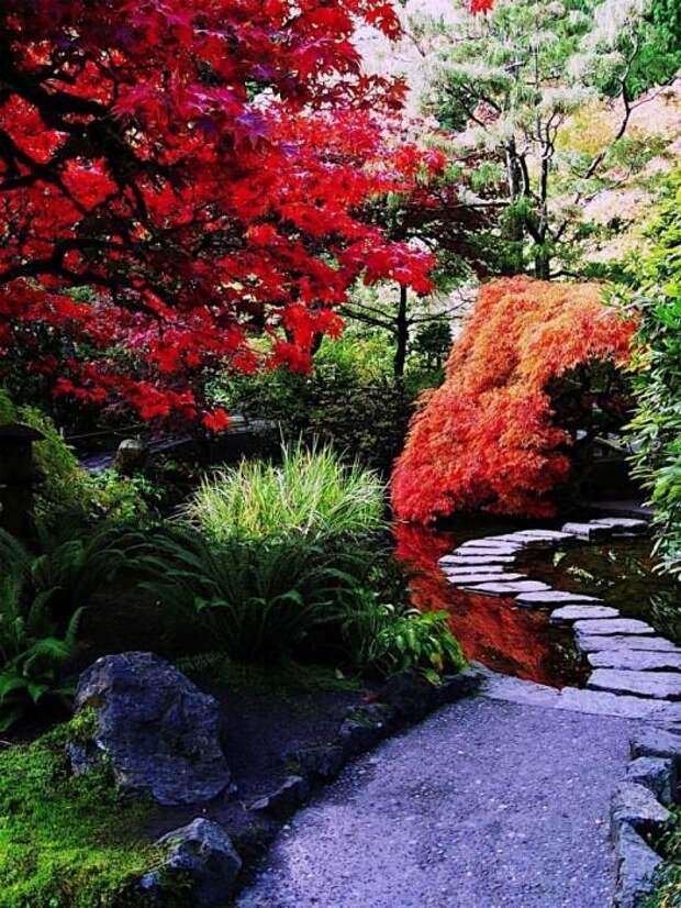 Место чарующее своей красотой и живой природой - The Butchart Gardens. 