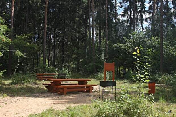 На природных территориях в Хорошево-Мневниках временно запрещено устраивать пикники