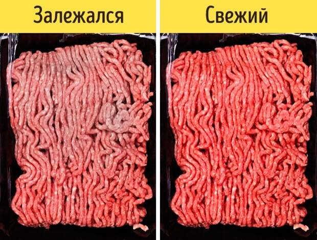 Как отличить свежее от несвежего Как отличить свежее от несвежего