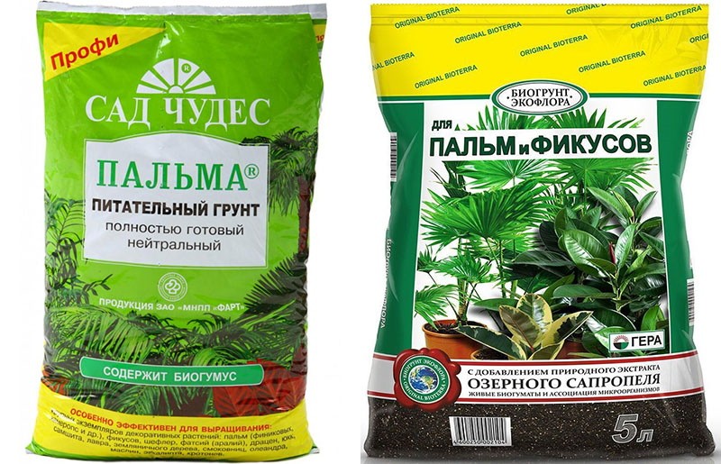 питательный грунт для пальм