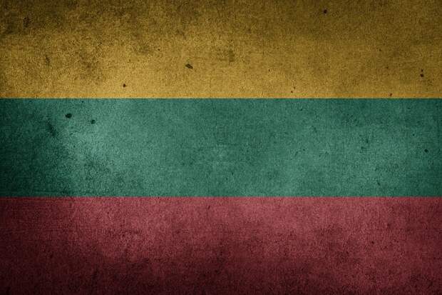 Грубое вмешательство – Литва пытается поменять белорусскую власть Грубое вмешательство – Литва пытается поменять белорусскую власть
