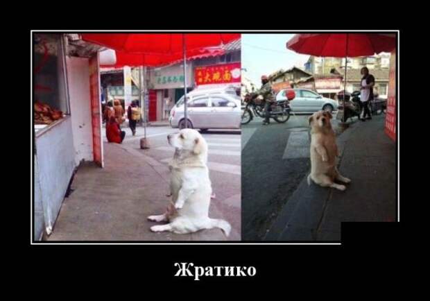 Демотиваторы (30 фото) Демотиваторы (30 фото)