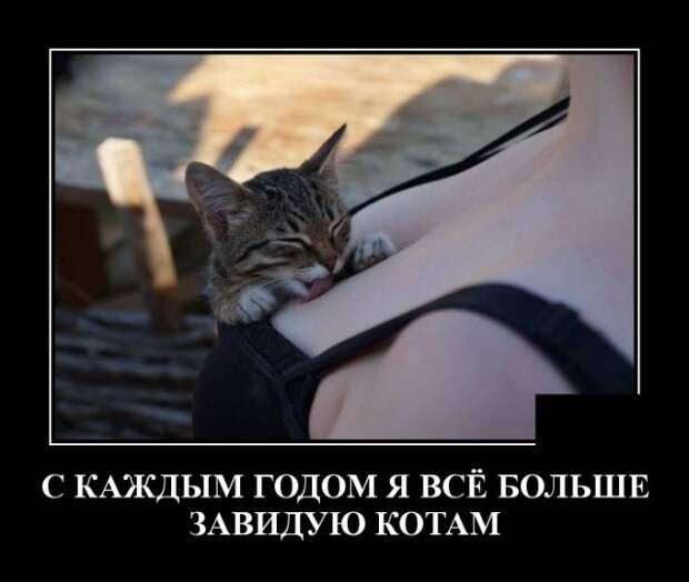 Демотиваторы (30 фото)