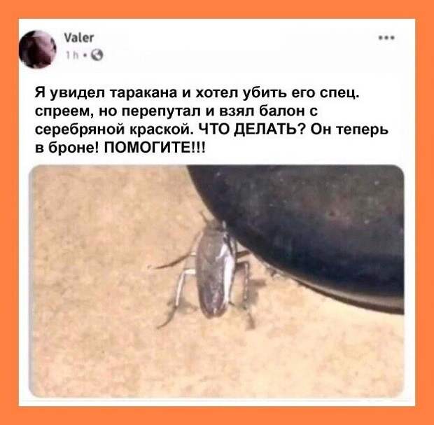 Веселые истории о нас (очередной выпуск)