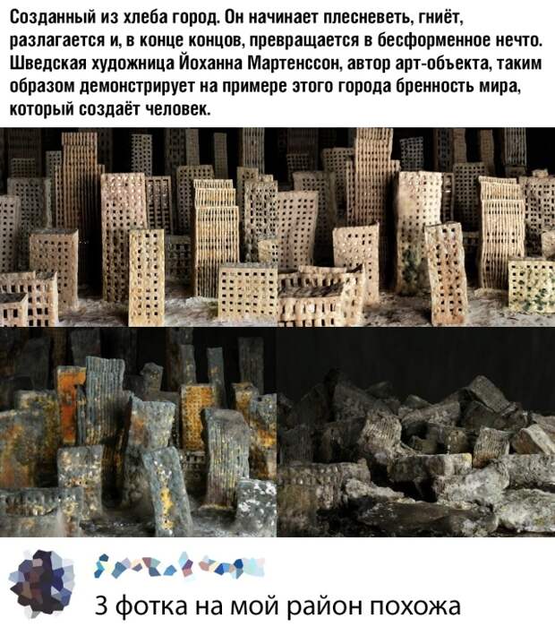 Подборка прикольных картинок