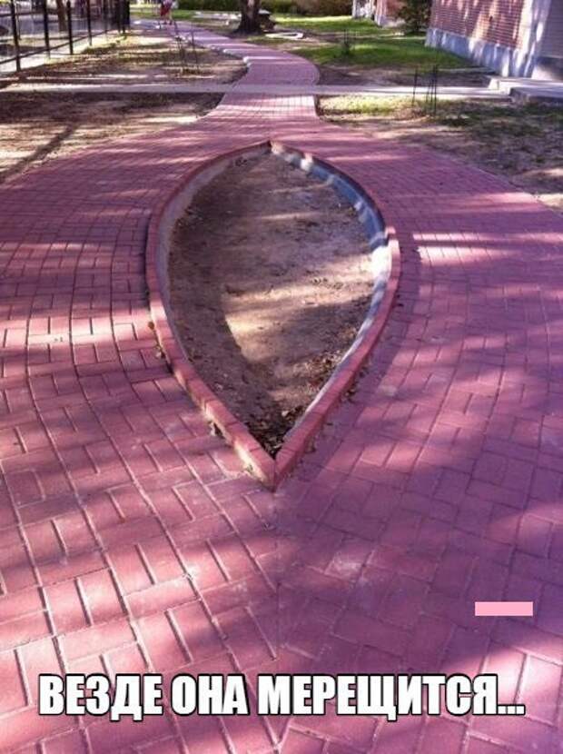 Немного шуток о женщинах (48 картинок)