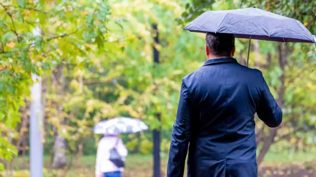 Терапевт Чернышова рассказала о способах сохранить здоровье в дождливую погоду