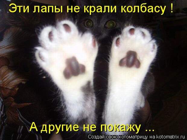 Мысли вслух :)