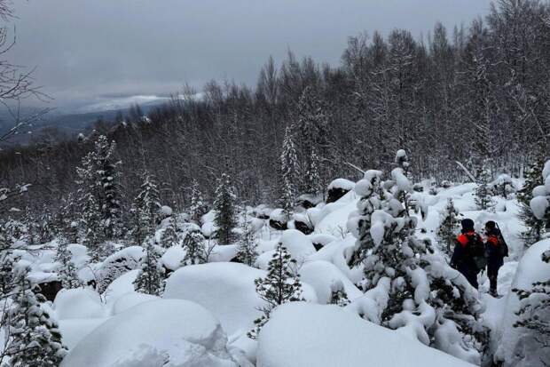 Пропавшая в тайге семья Усольцевых могла стать жертвой преступления