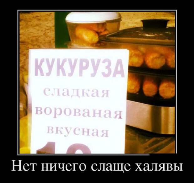 Демотиваторы (30 фото)