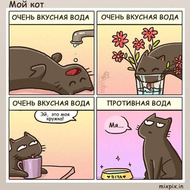 изображение: Почему кот пьет воду из-под крана #Котоматрицы