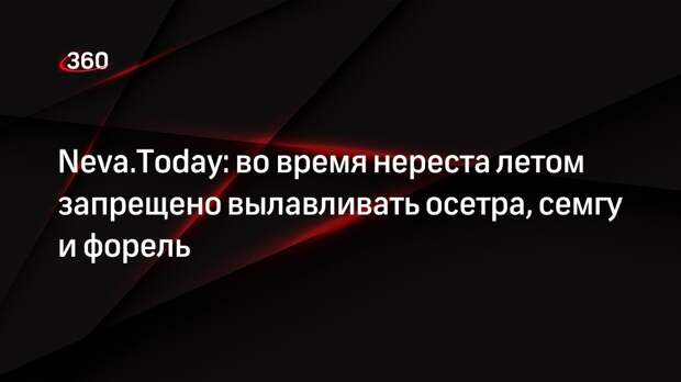 Neva.Today: во время нереста летом запрещено вылавливать осетра, семгу и форель
