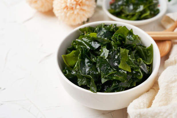 В КамГУ создан стимулятор из водорослей, в пять раз ускоряющий рост растений