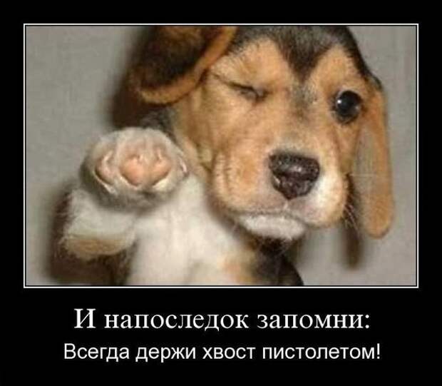 Всяко - разно 14 ))) Всяко - разно 14 )))
