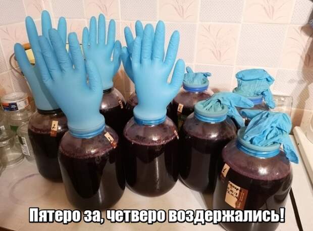 Подборка прикольных картинок (23 фото)