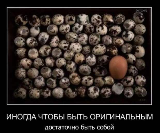 Прикольные демотиваторы с надписями. Подборка chert-poberi-dem-chert-poberi-dem-33130625062020-7 картинка chert-poberi-dem-33130625062020-7