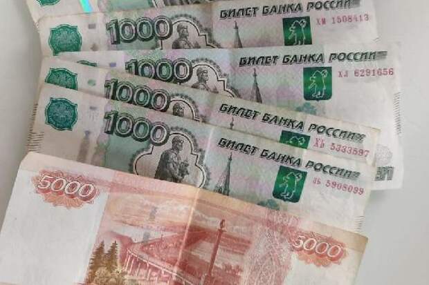 Чтобы получить МРОТ некоторым тамбовским педагогам приходилось работать сверх нормы