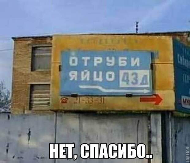 30 прикольных зарядов на всю неделю