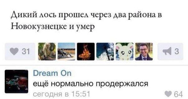 Любимые комментарии из социальных сетей