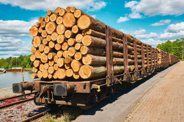 «Санкционный бумеранг»: Литва рискует лишиться древесины и мебельного бизнеса