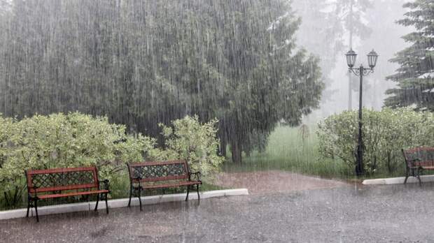 Сильный дождь, гроза и порывы ветра: о непогоде предупреждают жителей Московского региона