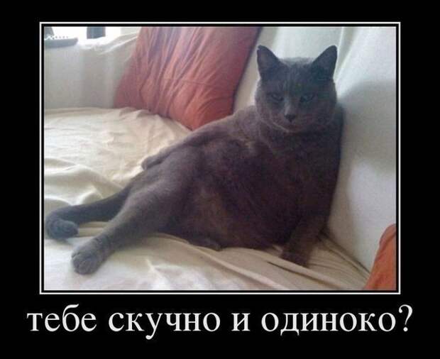 Демотиваторы (30 фото)